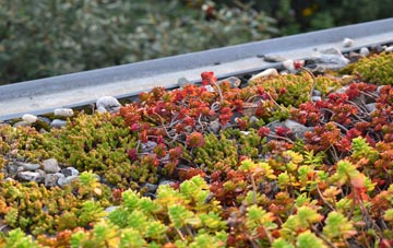 the cost of Toberonochy green roof installation