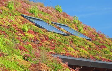 Toberonochy living roof systems